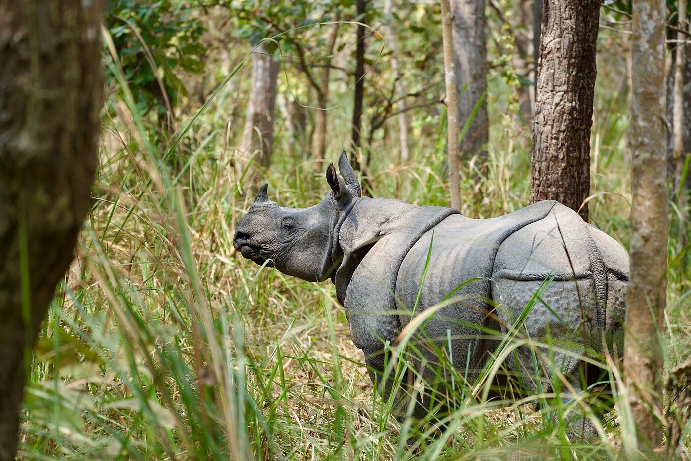 Chitwan National Park